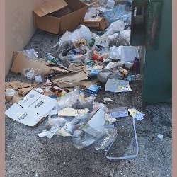 Trash Search, Food